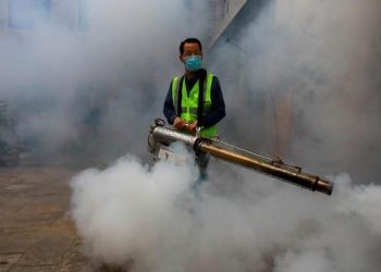 Teror Serangan Nyamuk Ganas, 3000 Orang Meninggal dan Kota Menjadi Kuburan