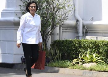 Sri Mulyani Beri Pendapat tentang Anggaran Dua Badan Baru Bentukan Prabowo