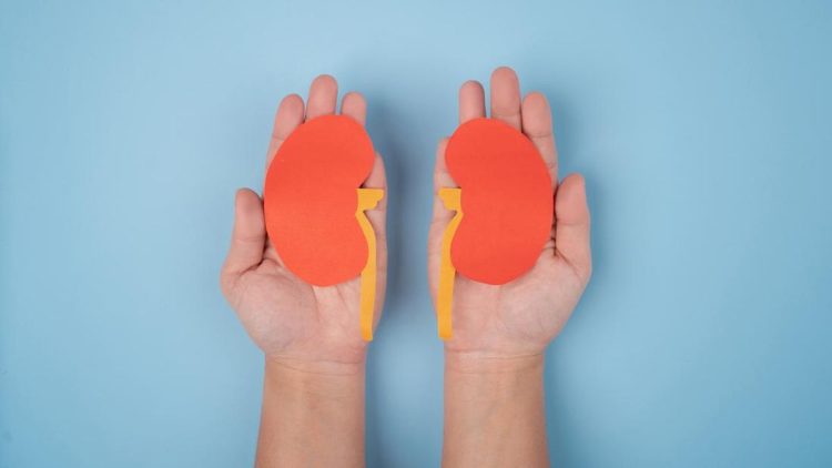 10 Tanda Awal Masalah Ginjal yang Wajib Diperhatikan Sebelum Terlambat