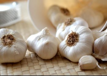 Rutin Minum Air Rebusan Bawang Putih, Apakah Ada Efek Sampingnya?