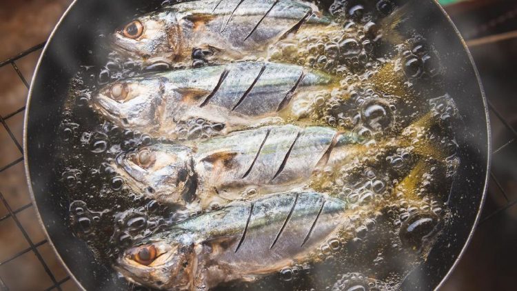 Ikan Kaya Vitamin D, Termasuk Ikan Kembung dalam Daftarnya