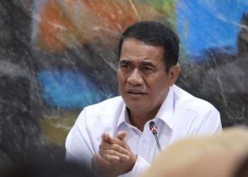Soal Kualitas Beras di Ritel Modern, Menurut Mentan Amran Begini