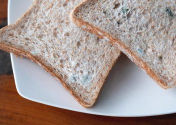 5 Efek Kesehatan Makanan Basi yang Sering Tidak Disadari untuk Tubuh