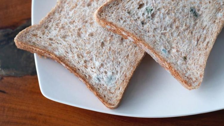 5 Efek Kesehatan Makanan Basi yang Sering Tidak Disadari untuk Tubuh