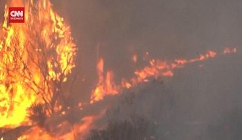 Kebakaran Hutan di Turki, Ratusan Orang DEvakuasi