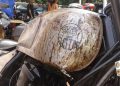 Cara Efektif Menghapus Karat pada Motor