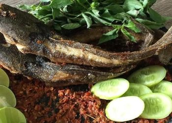 Menu Ekonomis, Ini 5 Manfaat Konsumsi Ikan Lele Setiap Hari