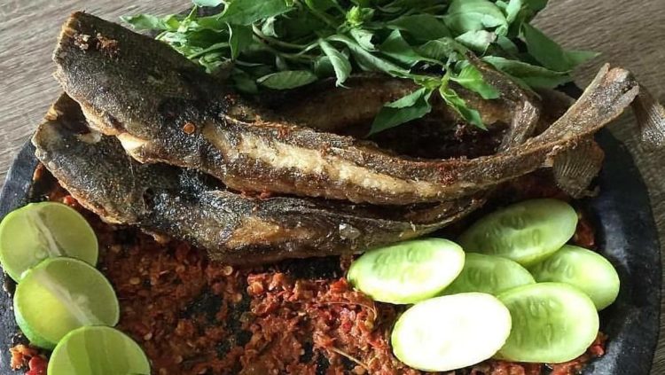 Menu Ekonomis, Ini 5 Manfaat Konsumsi Ikan Lele Setiap Hari