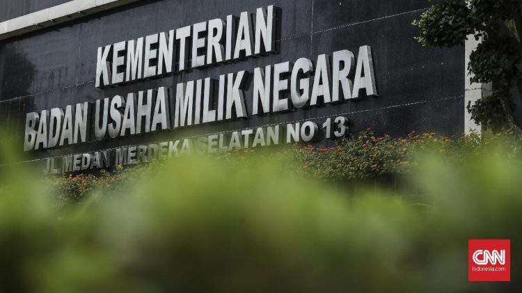 Ganti Status Kementerian Jadi BP BUMN dan Masalah Pedang Bermata Dua