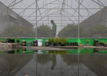 Green House yang Terletak di Atas Pasar Mayestik