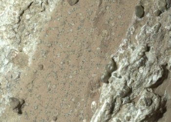 Tanda Kehidupan Paling Jelas di Mars Ditemukan NASA, Berikut Buktinya