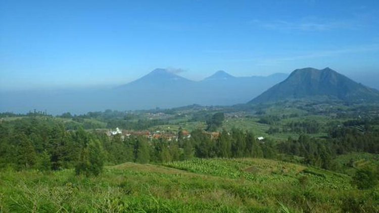 10 Tempat Makan Enak di Kopeng dengan Pemandangan Sejuk 2025