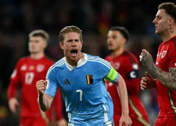 Wales vs Belgia Terhenti karena Insiden Unik: Pertandingan Terganggu Tikus
