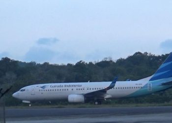 Direksi Asing di Garuda Indonesia, Siapa Saja Mereka?