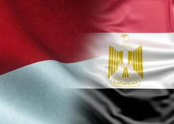 Ratusan Ribu Warga Mesir Menghargai Presiden RI Sebagai Pembawa Perdamaian