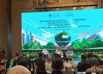 Indonesia Tawarkan 90 Juta Ton Kredit Karbon di COP 30 Amazon