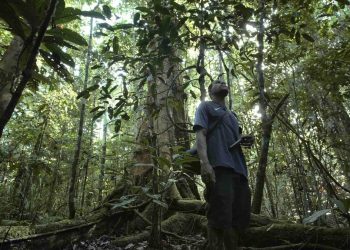 Dana Global Tersendat Akibat Birokrasi, Masyarakat Adat Kehilangan Kesempatan