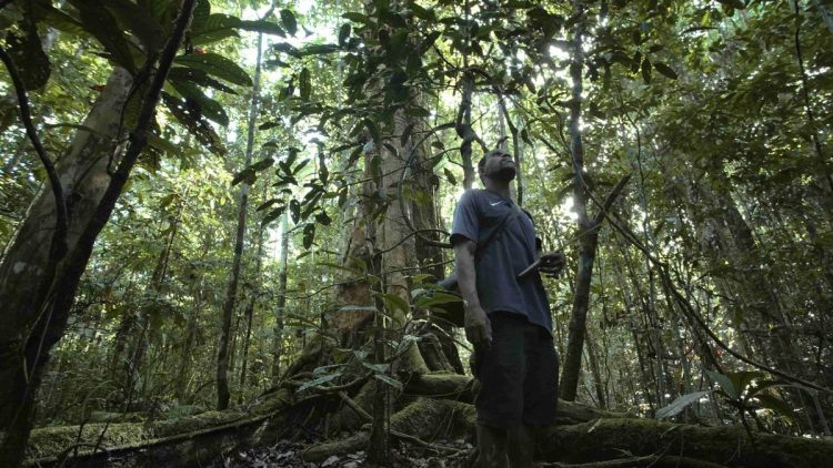 Dana Global Tersendat Akibat Birokrasi, Masyarakat Adat Kehilangan Kesempatan