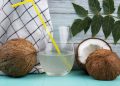 7 Manfaat Air Kelapa Sebagai Solusi Alami Mengembalikan Cairan Tubuh