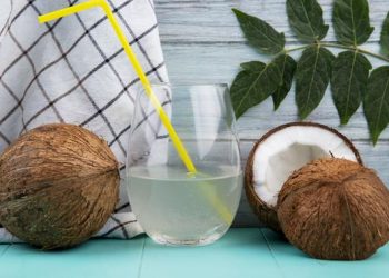 7 Manfaat Air Kelapa Sebagai Solusi Alami Mengembalikan Cairan Tubuh