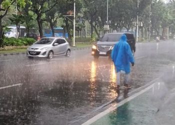 Puncak Musim Hujan Dimulai, Penjelasan Kepala BMKG Mengenai Sinyal Cuaca
