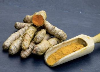 Jamu Saintifik dan Cara Mengolahnya untuk Atasi Ambeien