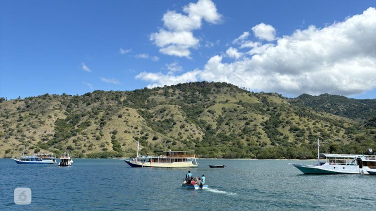 Pelaku Wisata Merusak Terumbu Karang di Labuan Bajo Hanya Dikenakan Sanksi Administratif