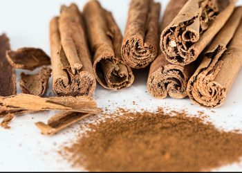 7 Tanaman Herbal untuk Penderita Diabetes dalam Mengontrol Gula Darah