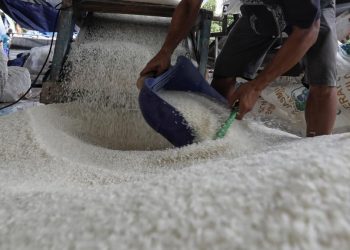 Indonesia Hentikan Impor Beras untuk Industri pada 2026