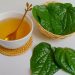 7 Manfaat Menakjubkan Air Rebusan Daun Sirih untuk Kesehatan dan Kecantikan