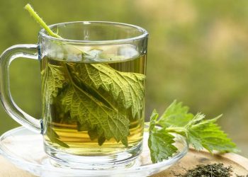 Bahaya Minum Air Rebusan Daun Sembarangan Bisa Sebabkan Gagal Ginjal