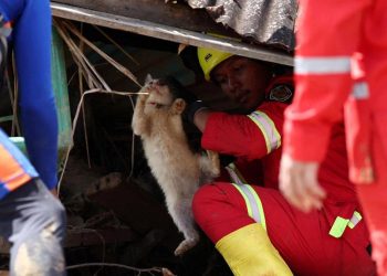 Cinta Salmiati untuk Kucing Terlupakan Saat Banjir Melanda