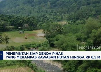 Denda Rp1,25-6,5 M untuk Perampas Hutan dari Pemerintah Siap Diterapkan