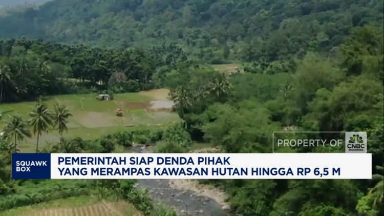 Denda Rp1,25-6,5 M untuk Perampas Hutan dari Pemerintah Siap Diterapkan