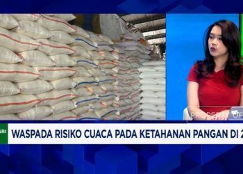 Stok Beras Stabil namun Waspada Kenaikan Harga Cabai Rawit di Nataru