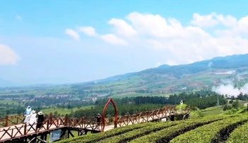 6 Tempat Wisata Pangalengan Bandung yang Dingin dan Menenangkan