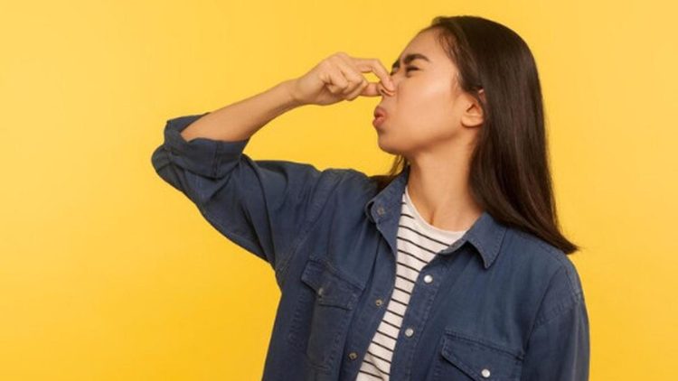 Tanggal 7 Januari Hari Kentut Nasional, Bahaya Menahan Kentut untuk Kesehatan Tubuh