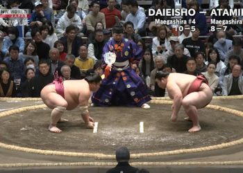 Fakta Menarik Turnamen Grand Sumo Januari 2026 dari Pegulat Hebat hingga Euforia Kompetisi Ketat