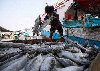 Permohonan Tambahan Rp1,7 T untuk Pemulihan Sektor Perikanan di Sumatra