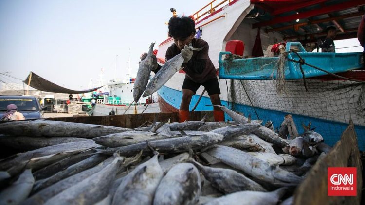 Permohonan Tambahan Rp1,7 T untuk Pemulihan Sektor Perikanan di Sumatra