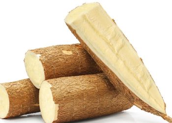 Jangan Sembarangan, Ini 7 Risiko Mengonsumsi Singkong Mentah