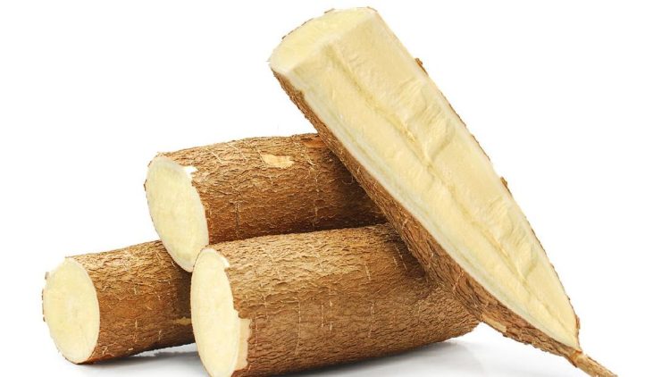 Jangan Sembarangan, Ini 7 Risiko Mengonsumsi Singkong Mentah