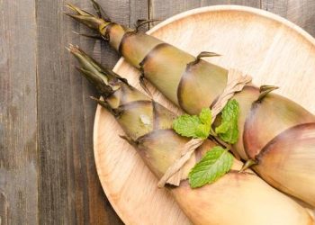 5 Manfaat Rebung bagi Kesehatan Termasuk Membantu Menurunkan Kolesterol